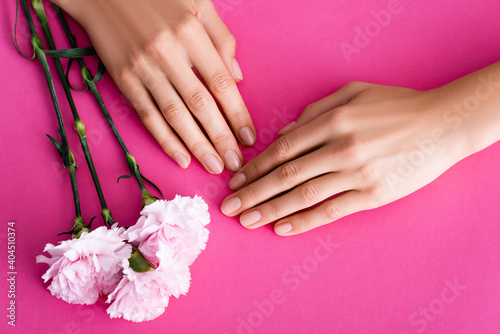 top view of female hands with pastel manicure near carnation flowers on pink background