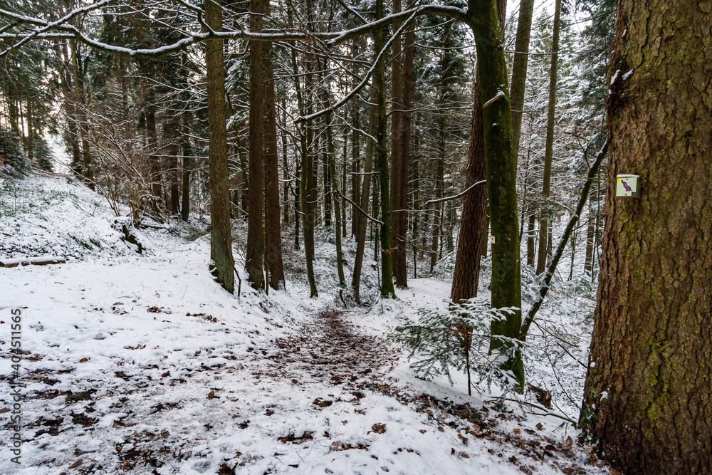Hike through the snowy ravine near Schmalegg Hike through the snowy ravine near Schmalegg