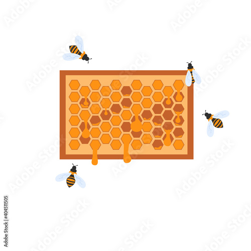 honeycomb with honey and bees. vector
