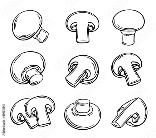 Outline champignon mushrooms