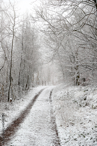 Schnee im Wald in Deutschland © KrischiMeier