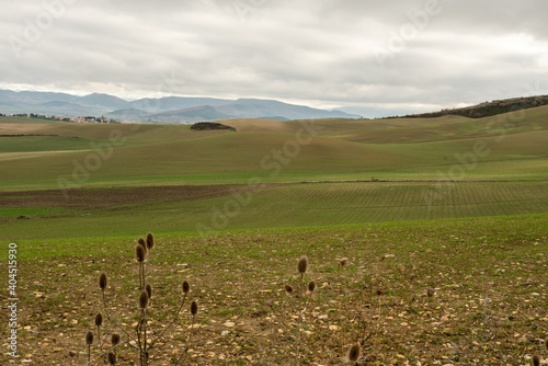 Paesaggio visto da un sentiero del cammino di santiago della campagna  durante una giornata nuvolosa