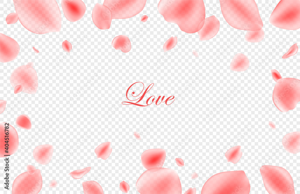 Valentines day festive background. Realistic pink rose petals on transparent background. 