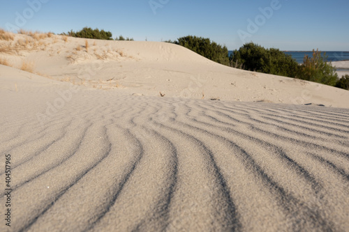 Pattern of the dunes in Capo Comino, sardinia