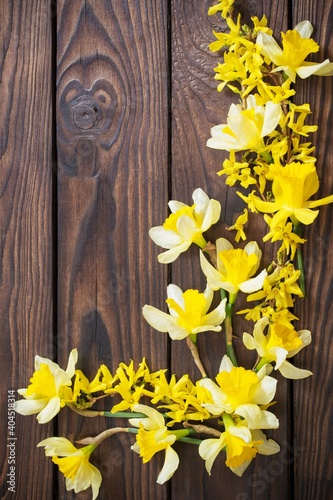 yellow narcissus on dark wooden background