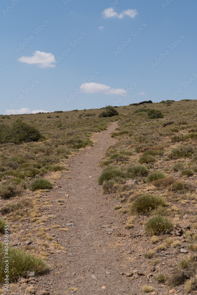 Fototapeta premium narrow dirt road in Sierra Nevada