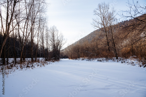 Winter in the forest, frozen river, nature of Russia, morning, silence