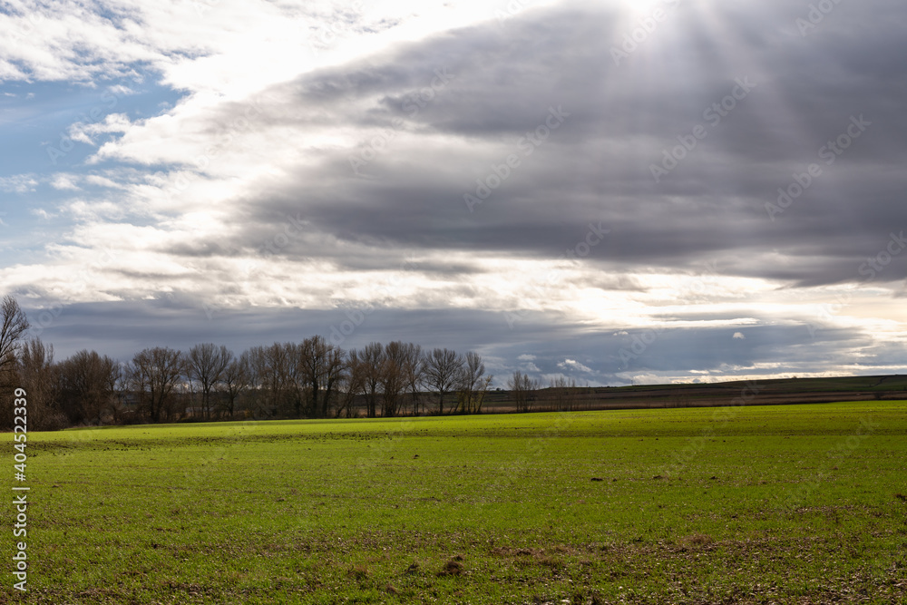 Raggi di sole raggiungono la terra durante una giornata nuvolosa lungo il cammino francese