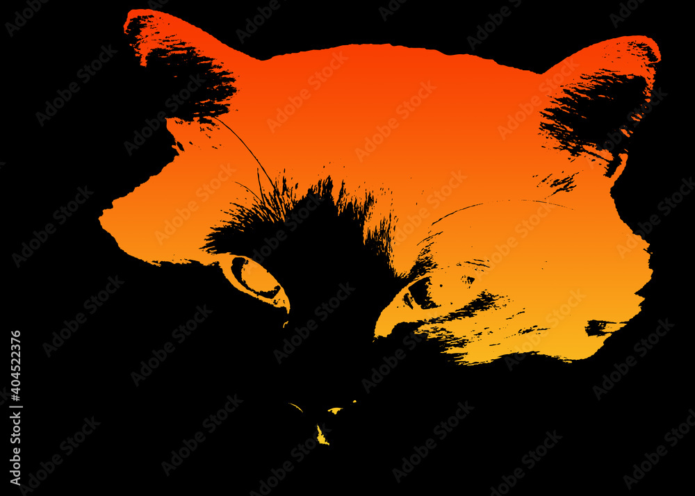 Muso di gatto rosso incandescente con nero Muso di gatto rosso incandescente con nero