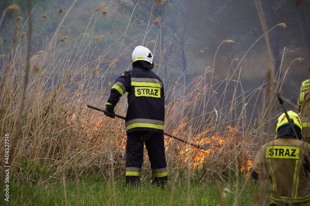 Obraz premium Akcja gaśnicza