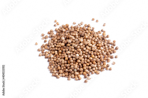 Grain coriander spice on white background