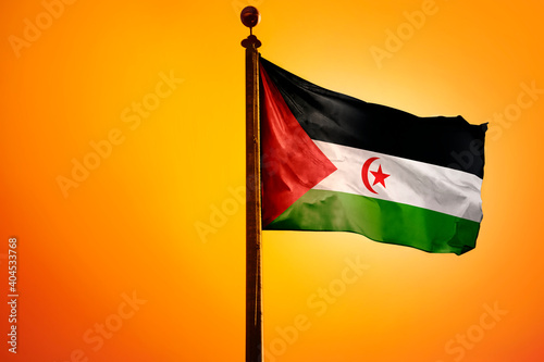 Western Sahara Flag, Flag Design Study photo