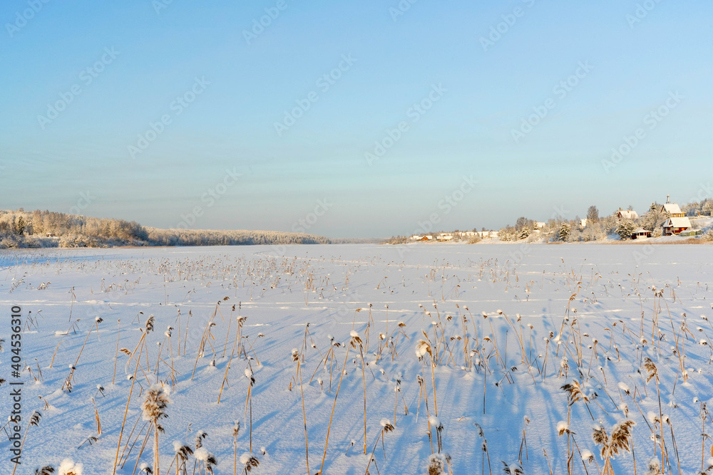 

Frozen lake covered with snow, forest and village on the shore. Blue sky and sunny winter day.