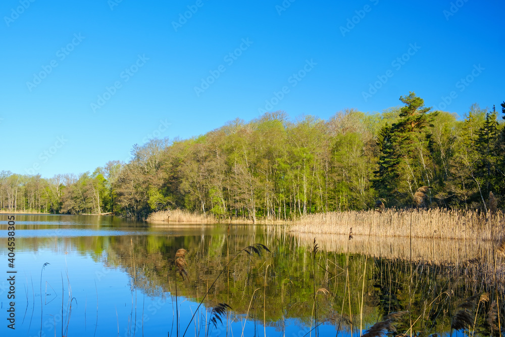 Beautiful landscape view at a lake in spring