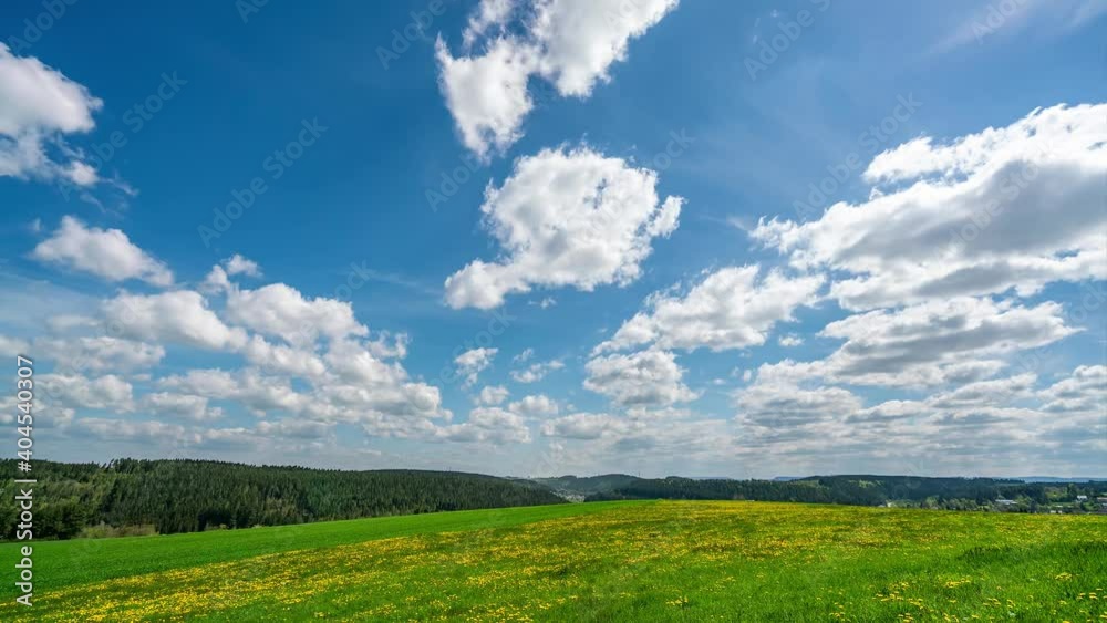 Time-lapse, charming flower field and forest landscape, white clouds floating to distance in blue sky