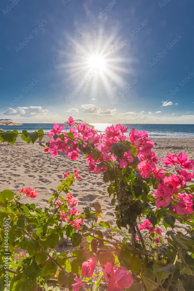 Obraz premium Plage paradisiaque sous le soleil des tropiques 