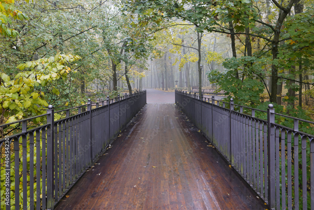 pedestrian bridge of the city in the early fog