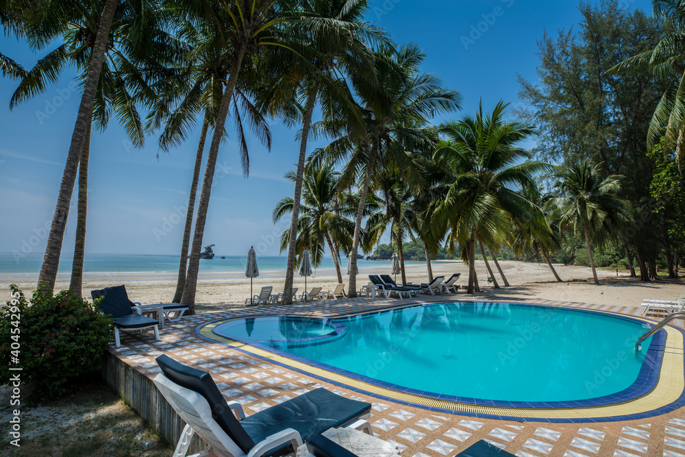 Swimming pool under coconut tree againts clear sky at tropicana Swimming pool under coconut tree againts clear sky at tropicana