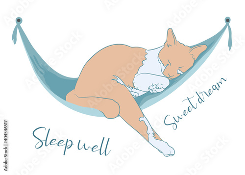 Ginger cat sleep happily on green hammock .