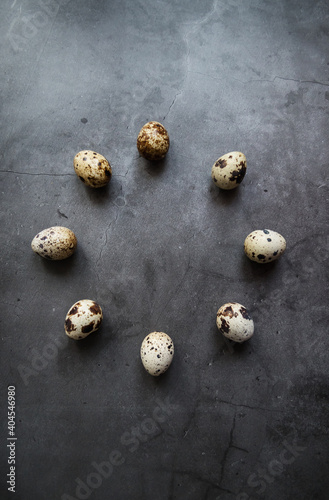 Circle of Quail eggs. Gray. The view from the top. Free space.