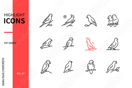 Pet birds - modern line design style icons set