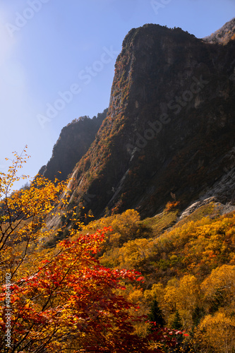 秋、信州、北アルプスの紅葉、黄葉と屏風岩。秋晴れの青空、日射し。 