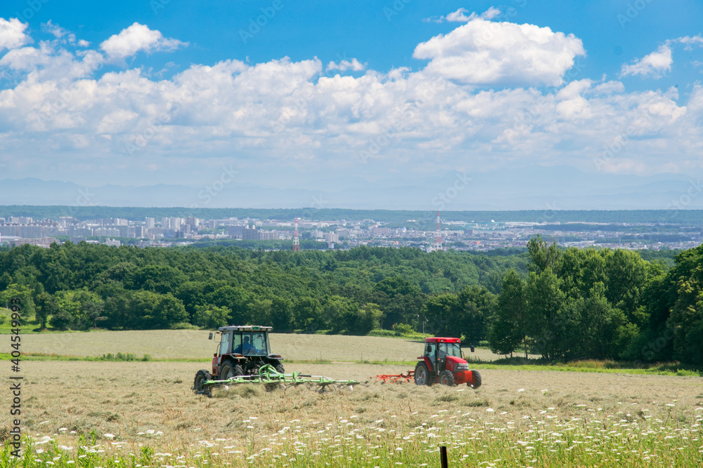 Fototapeta premium 牧草を刈り取るトラクター 北海道札幌市