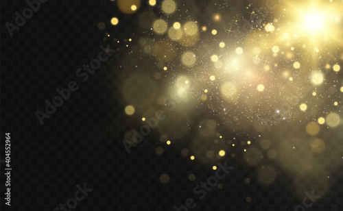 Vector Gold Sparkles, magic, bright light effect on a transparent background. Gold dust.