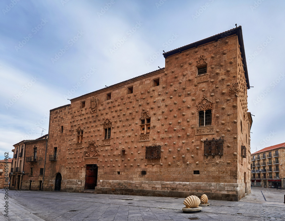 Fotografie Facade of the Library called Casa de las Conchas, in the city of Salamanca, Cast