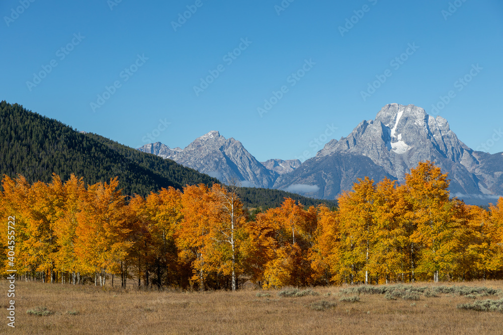 Scenic Grand Teton National Park Wyoming Autumn Landscape