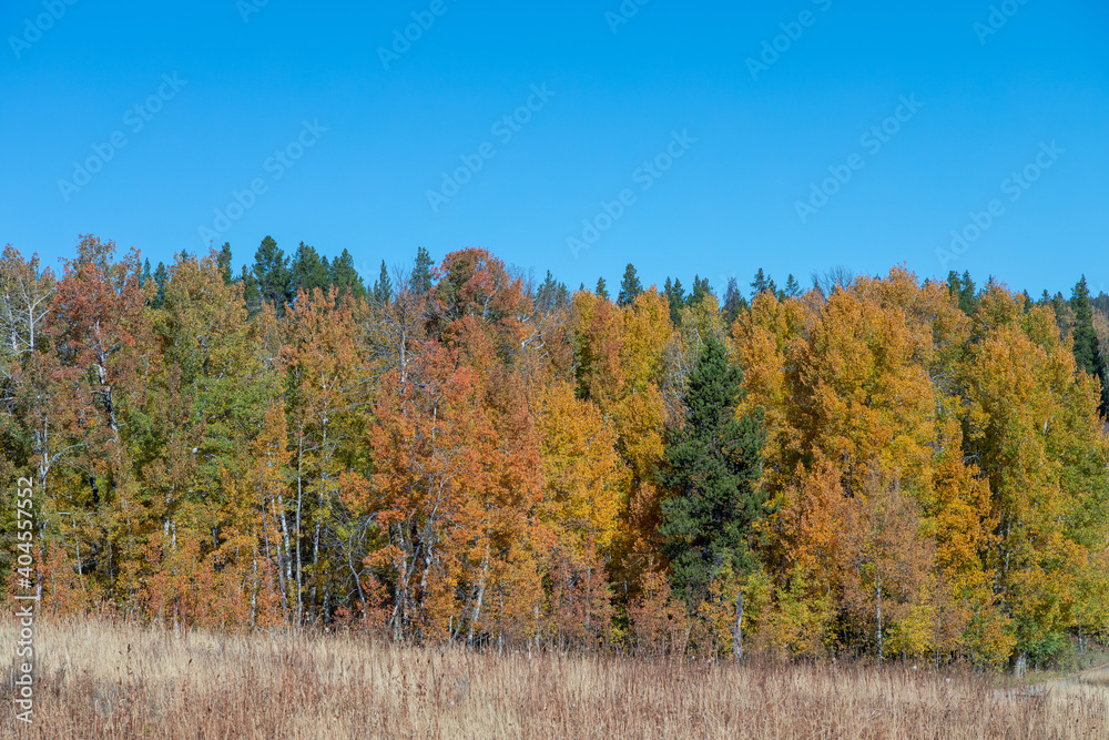 Fototapeta premium Scenic Grand Teton National Park Wyoming Autumn Landscape