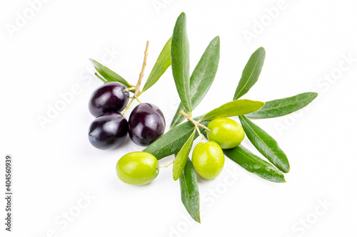 Green fresh olive on the white background