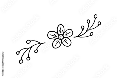 Vignette of flowers and leaves, hand-drawn. Doodle vector illustration. Ornament pattern. Black and white outline