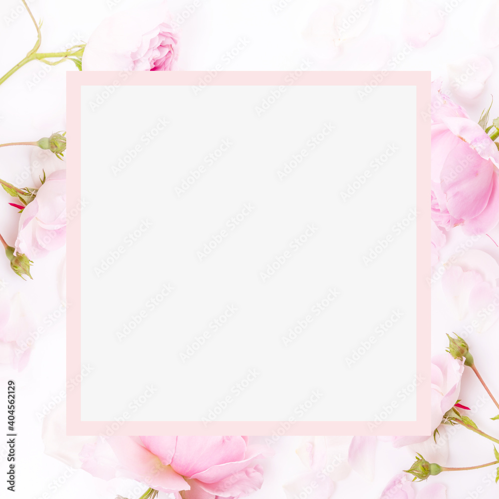 Flowers composition. Frame made of pink rose flowers on white background. Flat lay, top view, copy space