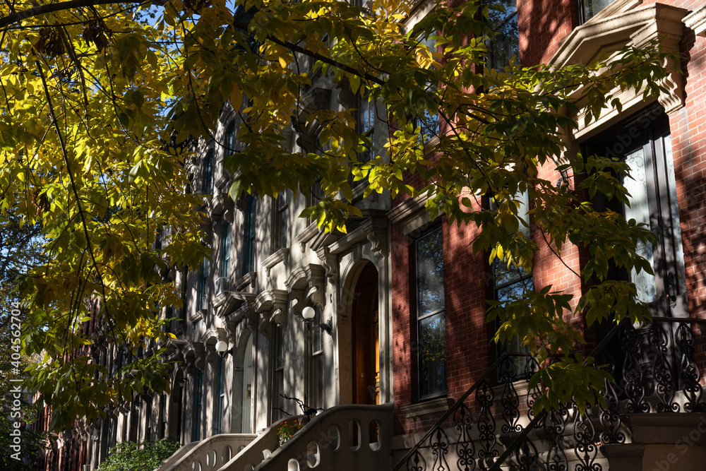 Row of Colorful Old Brick Brownstone Homes with Trees and Shade during Autumn in Long Island City Queens New York