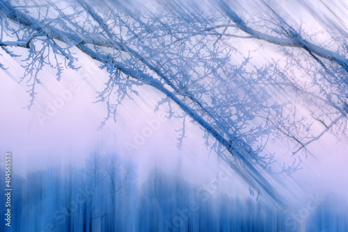 blurred winter landscape view of trees covered with fresh snow