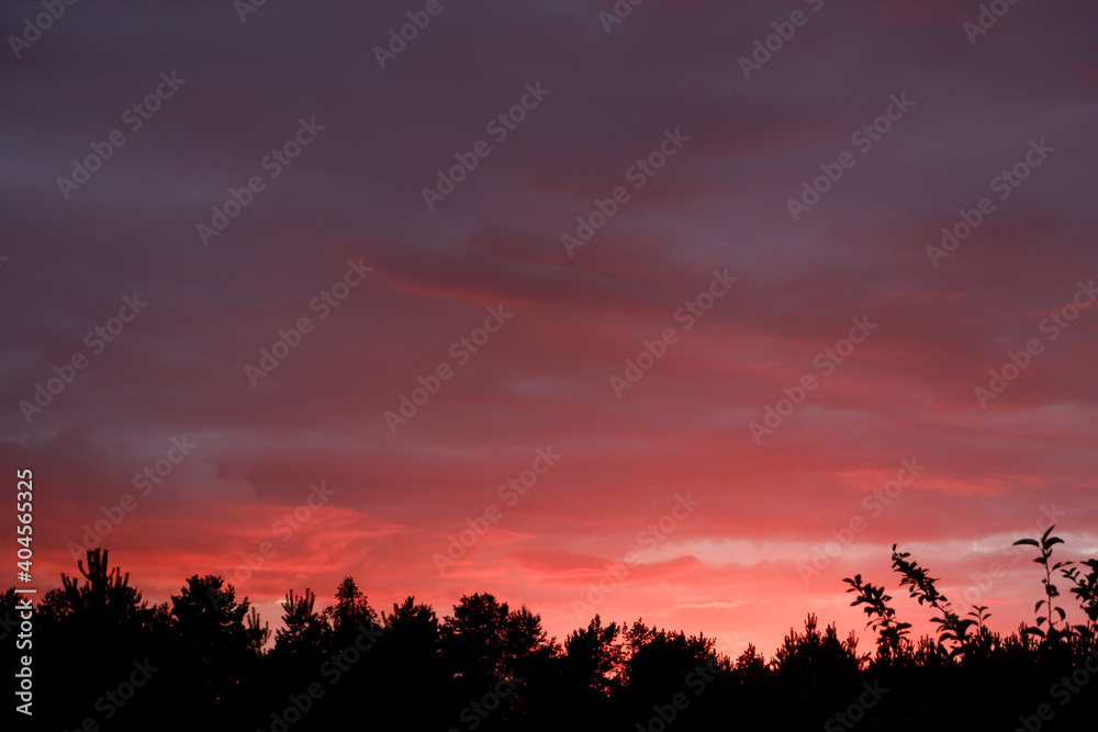 Beautiful crimson sunset. Cloudy background in red colors.