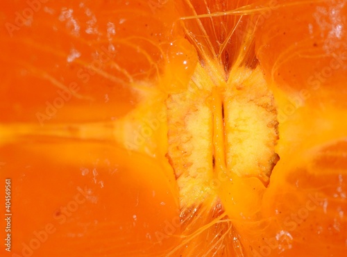 Soft abstract orange background for female menstrual calendar and agriculture articles