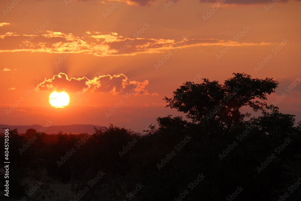 coucher de soleil sur le bush namibie