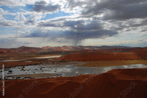 pluie exceptionnelle sur le d  sert du namib