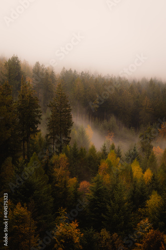 Foggy morning in Odenwald