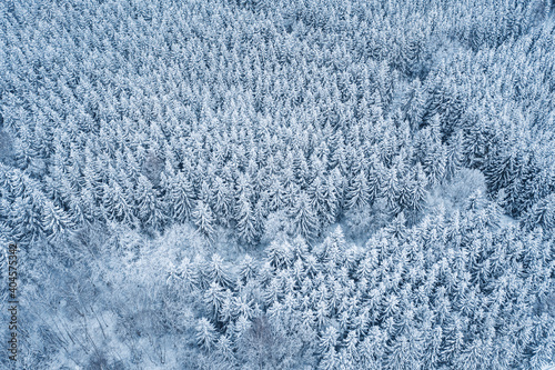 Aerial view of a country road passing through a snowy forest