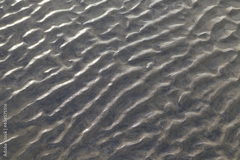 Sandy Texture in Beach Sandy Texture in Beach