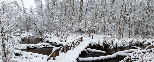 bridge over the river in the forest in winter