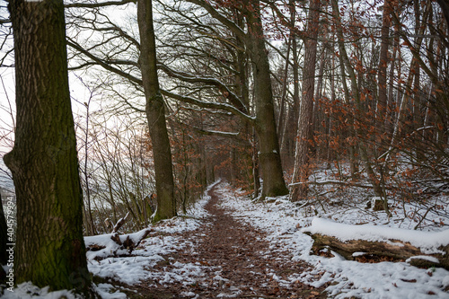 Odenwald - Wintertag