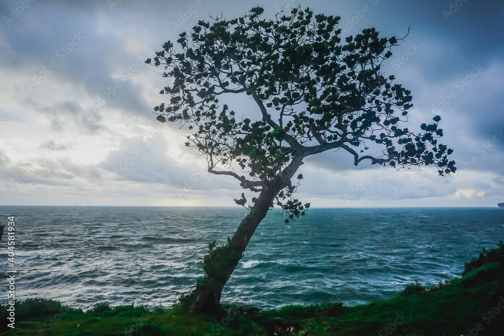 Indian Ocean coast in the south of Java island in Indonesia Indian Ocean coast in the south of Java island in Indonesia