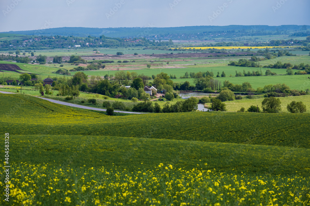 Spring countryside view with road, rapeseed yellow blooming fields, village, hills. Ukraine, Lviv Region.