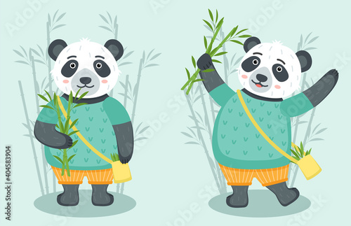 Set of cute pandas with bamboo  vector illustration