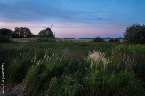 State Museum-Reserve of A. S. Pushkin. Wildflowers and grasses on the background of an old windmill and the dawn sky. July 2020. photo