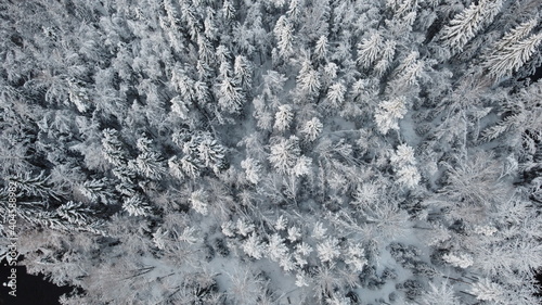 Drone shot of the winter forest, wallpaper patterrn background